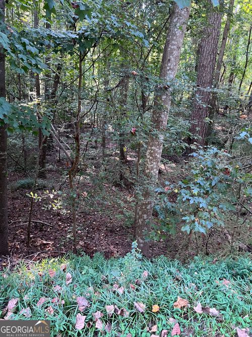 0 Oak Leaf Dr, Stockbridge, GA, 30281 | Card Image