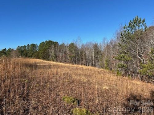 0 Hope Dr, Rutherfordton, NC, 28139 | Card Image