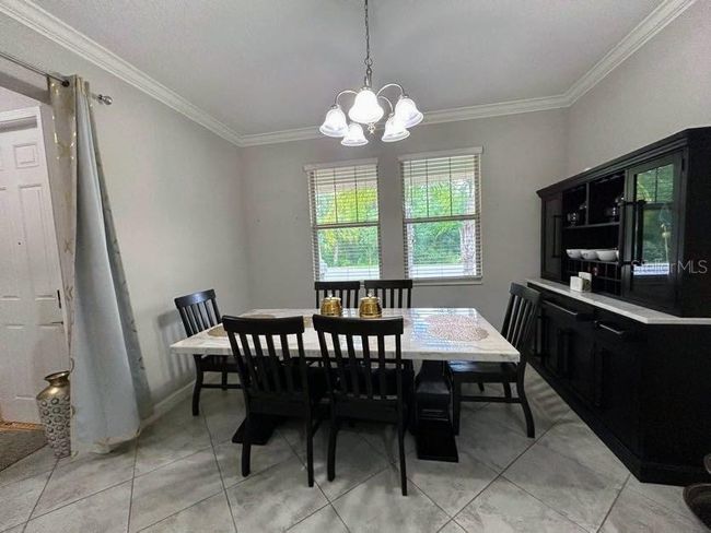 6244 English Hollow Rd, House other with 5 bedrooms, 4 bathrooms and null parking in TAMPA FL | Image 6