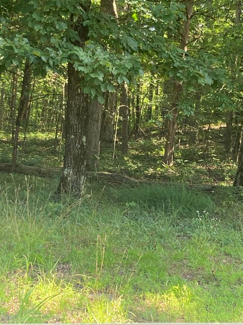 Lot 114 block12 Woodlawn Dr, Fairfield Bay, AR, 72088 | Card Image