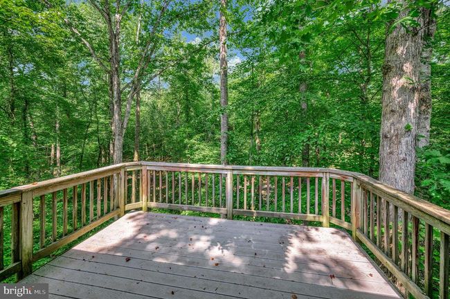 14906 Laurel Point Ln, House other with 4 bedrooms, 4 bathrooms and null parking in SPOTSYLVANIA VA | Image 51