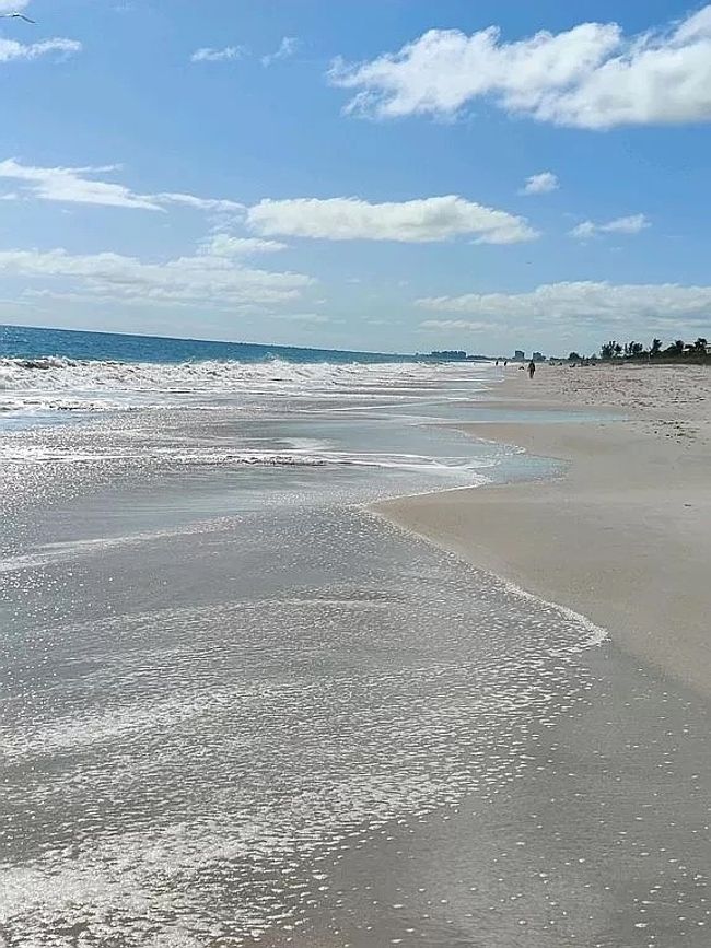 APT-3F - 1850 Bay Rd, House attached with 2 bedrooms, 2 bathrooms and null parking in Vero Beach FL | Image 9