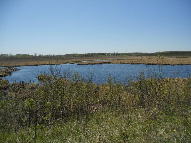 39769 Kestrel Ave, House other with 1 bedrooms, 1 bathrooms and null parking in Tamarack MN | Image 23
