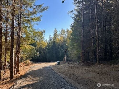 1-and-2-0 Misty Hill Rd, Toutle, WA, 98649 | Card Image
