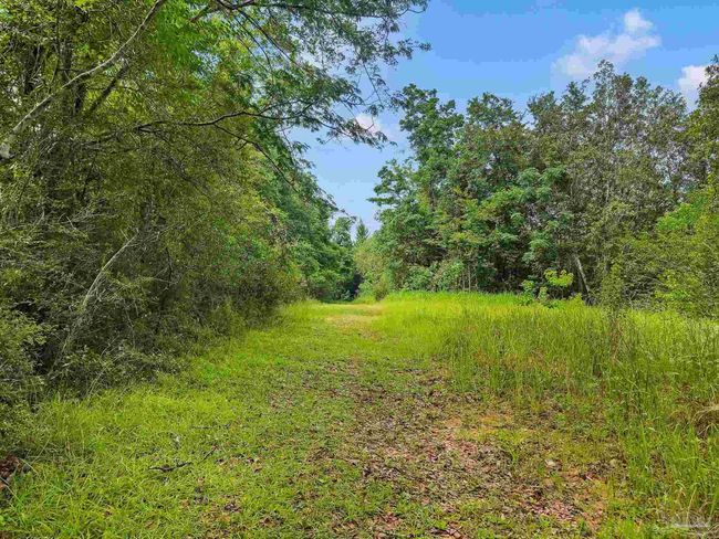 6640 Frank Reeder Rd, House other with 3 bedrooms, 2 bathrooms and 1 parking in Pensacola FL | Image 33