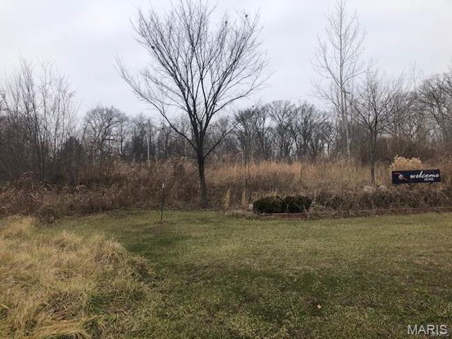 View of yard | Image 5