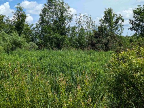 N/A Crosby Rd, Turner, MI, 48765 | Card Image