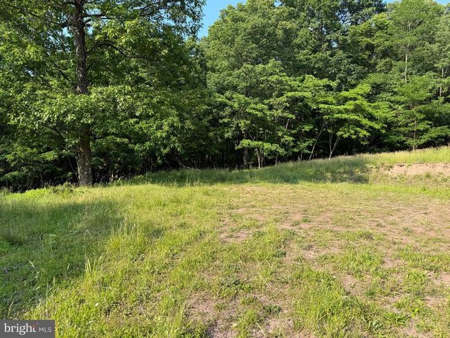 1337 Shanghai Rd, Home with 0 bedrooms, 0 bathrooms and null parking in BERKELEY SPRINGS WV | Image 7