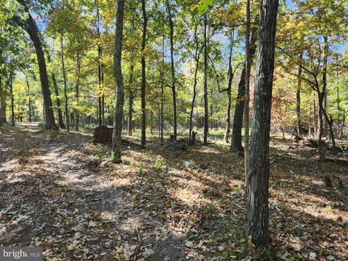  Mill Mountain Road, ROMNEY, WV, 26757 | Card Image