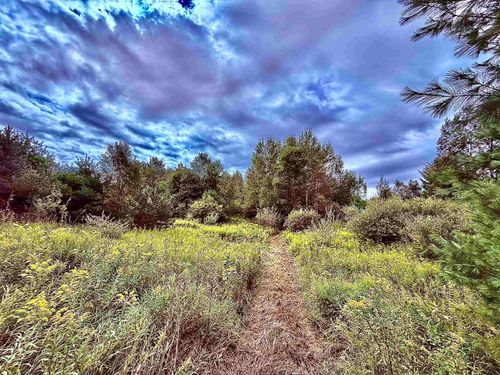 Parcel C M-113, Mayfield Township, MI, 49649 | Card Image