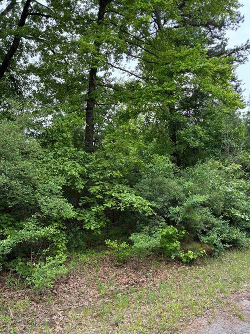 TBD LOT 538 Tbd Eagle Bluff Loop Lot 538, Avinger, TX, 75630 | Card Image