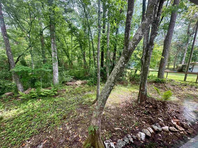 24118 Lone Star Rd, House other with 3 bedrooms, 2 bathrooms and null parking in Tallahassee FL | Image 30