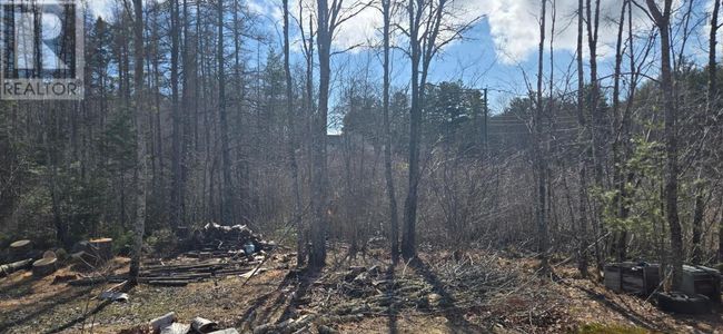 11799 Highway 8, Home with 0 bedrooms, 0 bathrooms and null parking in Caledonia NS | Image 24