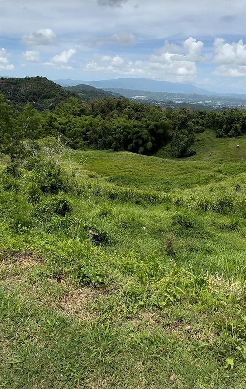 87.29 cuerdas Bo.Quemados Carr 7788 Km Hm 2.2, San Lorenzo, PR, 00754 | Card Image