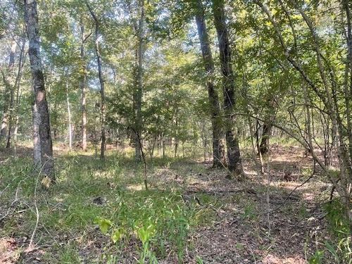 TBD County Road 16150, Deport, TX, 75435 | Card Image