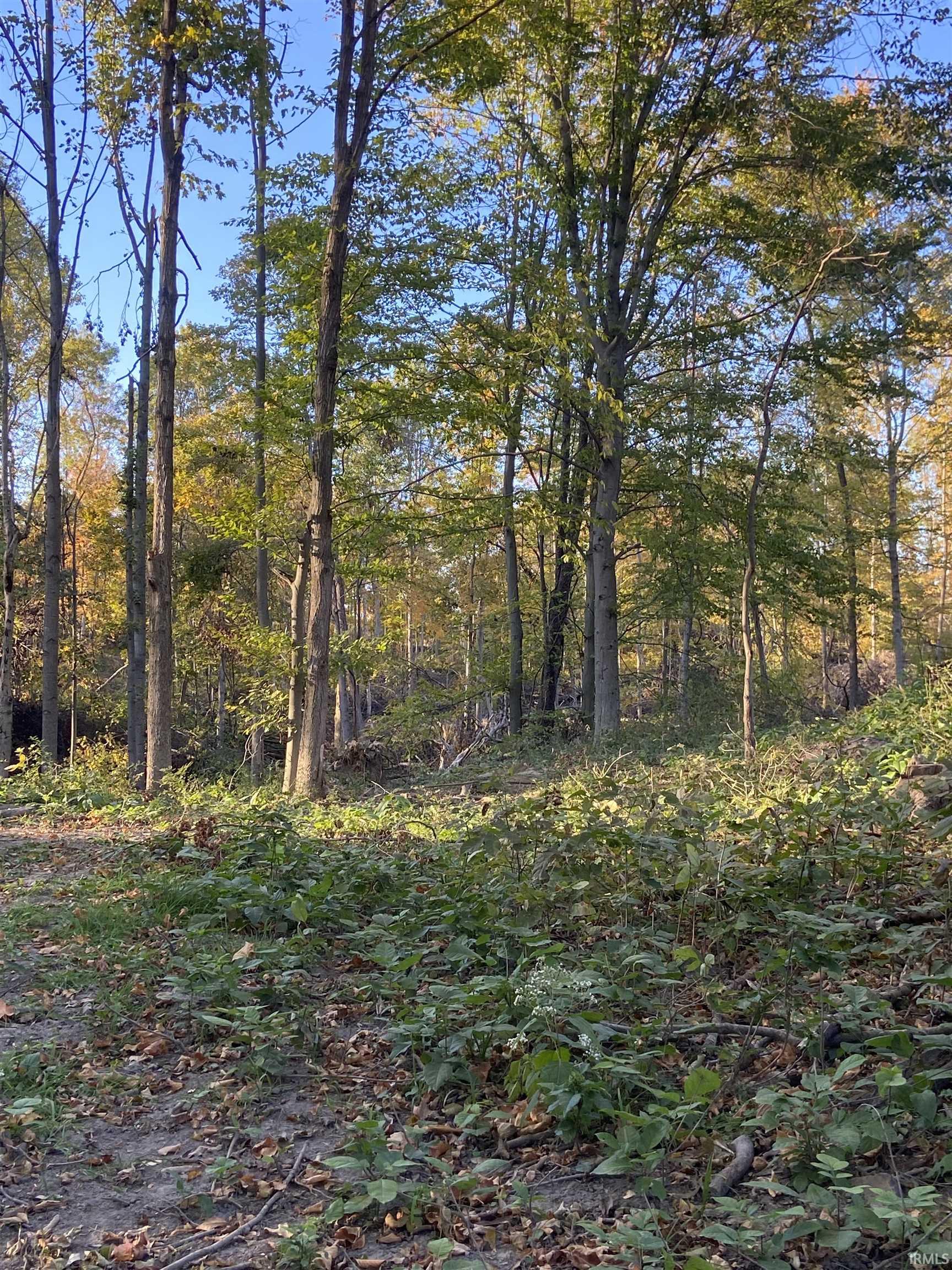 1700 E Lovers Lane, For Sale in Peru Zoocasa