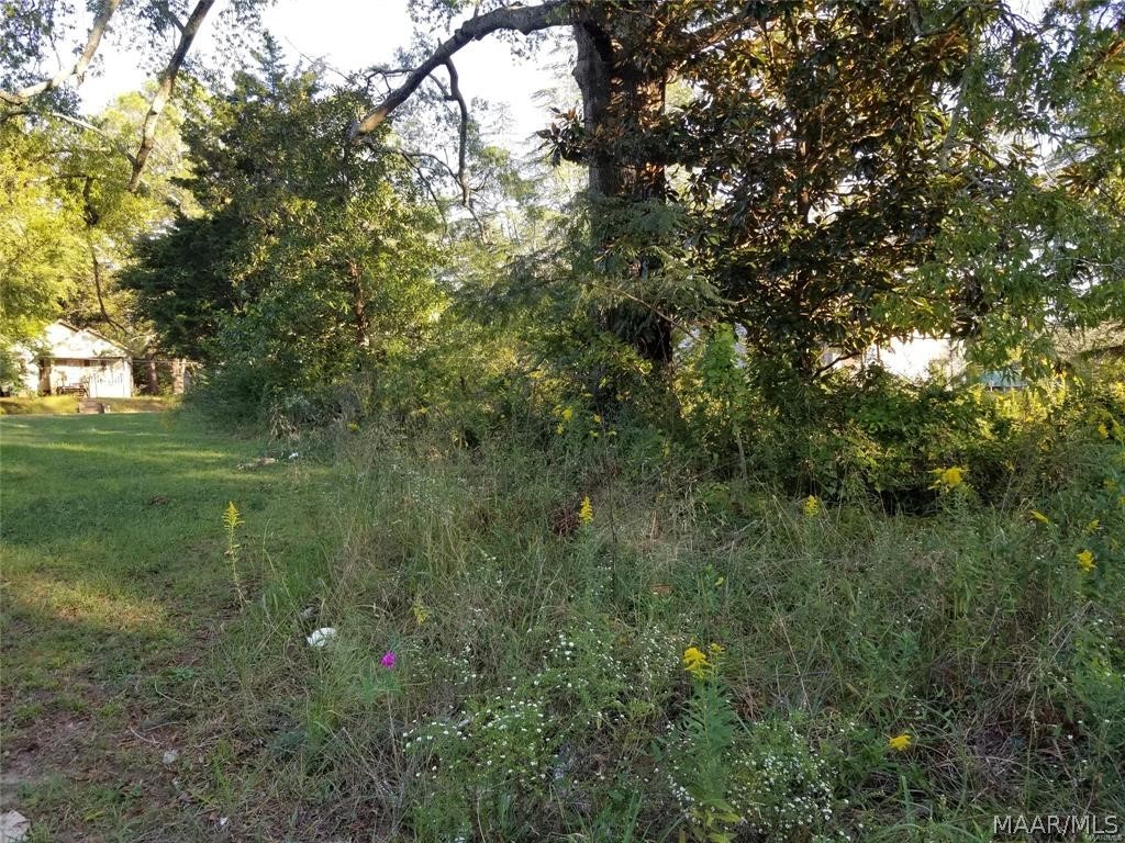 Land in Anniston 4