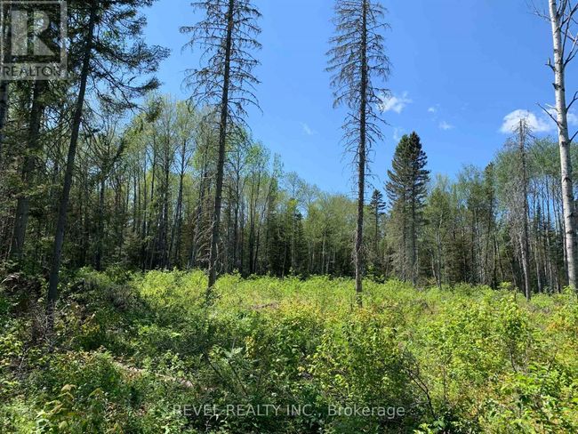 PCL8547 Hwy 101 Highway W, Home with 0 bedrooms, 0 bathrooms and null parking in Timmins (MTJ - 101 West) ON | Image 29