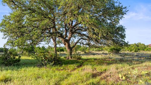 LOT 4 Vista Ridge, Round Mountain, TX, 78663 | Card Image