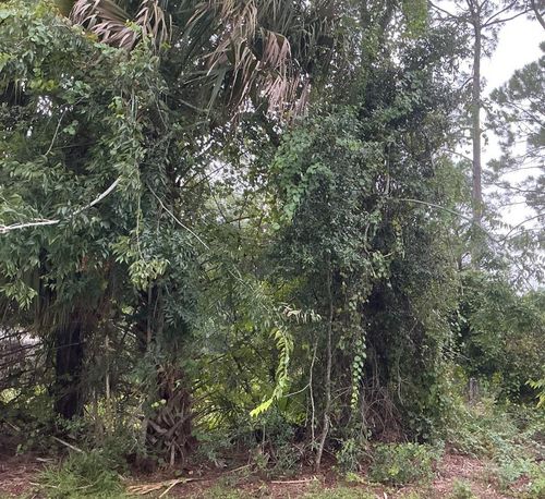 39 Whittington Dr, PALM COAST, FL, 32164-3912 | Card Image