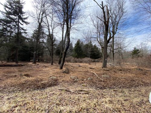 905 Wadi Road W, Pocono Lake, PA, 18347 | Card Image