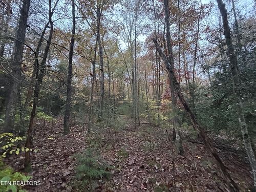 0 Graveyard Rd E/O Rd, Jamestown, TN, 38556 | Card Image