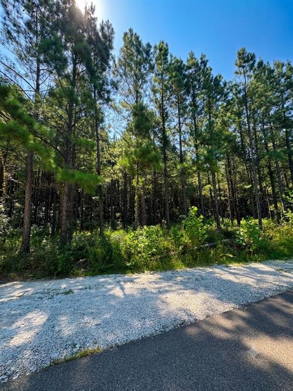 Land in Broken Bow 3
