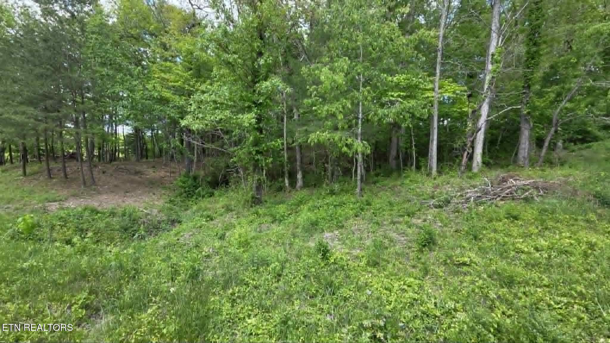 Land in Crossville 3