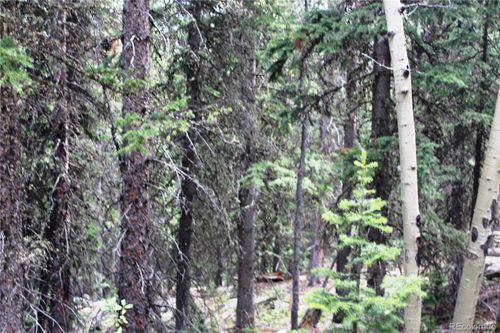 00 Hidden Wilderness Rd, Idaho Springs, CO, 80452 | Card Image