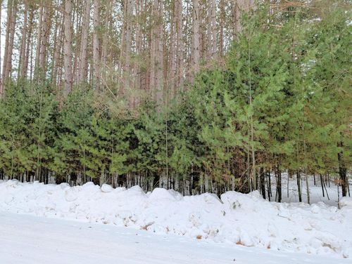 LOT 157 Trailwood Dr, Minocqua, WI, 54548 | Card Image