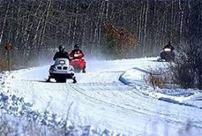 Enjoy 4 Seasons of Area Activities | Image 17