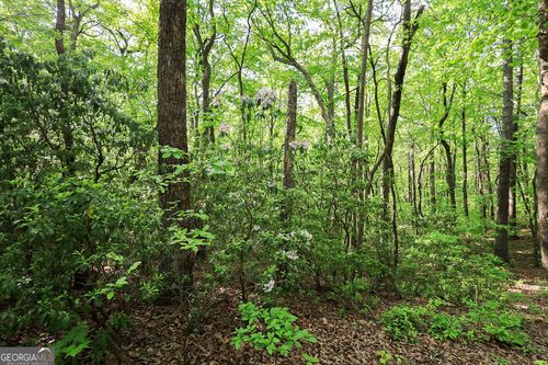 0 Amicalola Dr, Dawsonville, GA, 30534 | Card Image