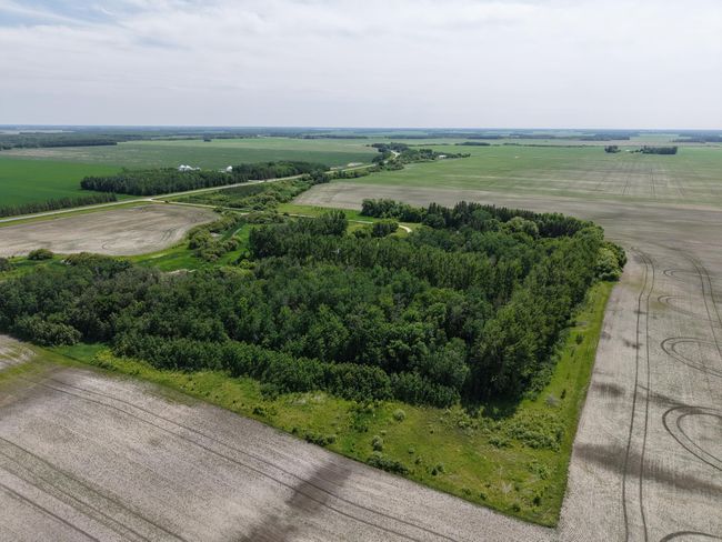 dji_fly_20250614_135916_0017_1750251007940_photo.jpeg | Image 41