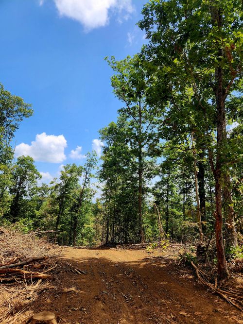 0 S Pittsburg Mountain Rd, South Pittsburg, TN, 37380 | Card Image