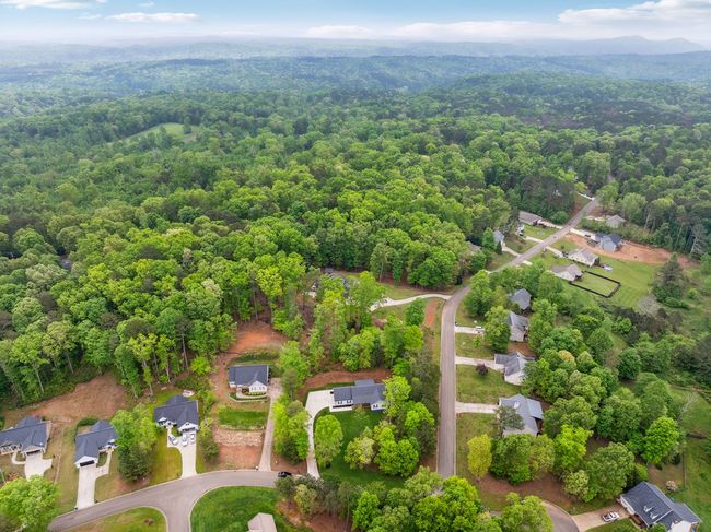 34 Tilly Ln, Home with 3 bedrooms, 2 bathrooms and 2 parking in Ellijay GA | Image 26