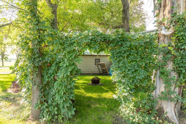 Yard | Image 37
