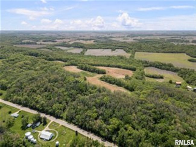 000 Bluff Rd, Home with 0 bedrooms, 0 bathrooms and null parking in Princeton IA | Image 8