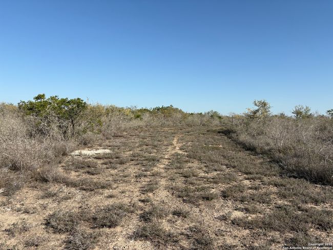 TR102 Frontier A Rd, Home with 0 bedrooms, 0 bathrooms and null parking in Freer TX | Image 10
