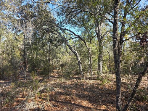 TBD Ne 87th Pl, Bronson, FL, 32621 | Card Image