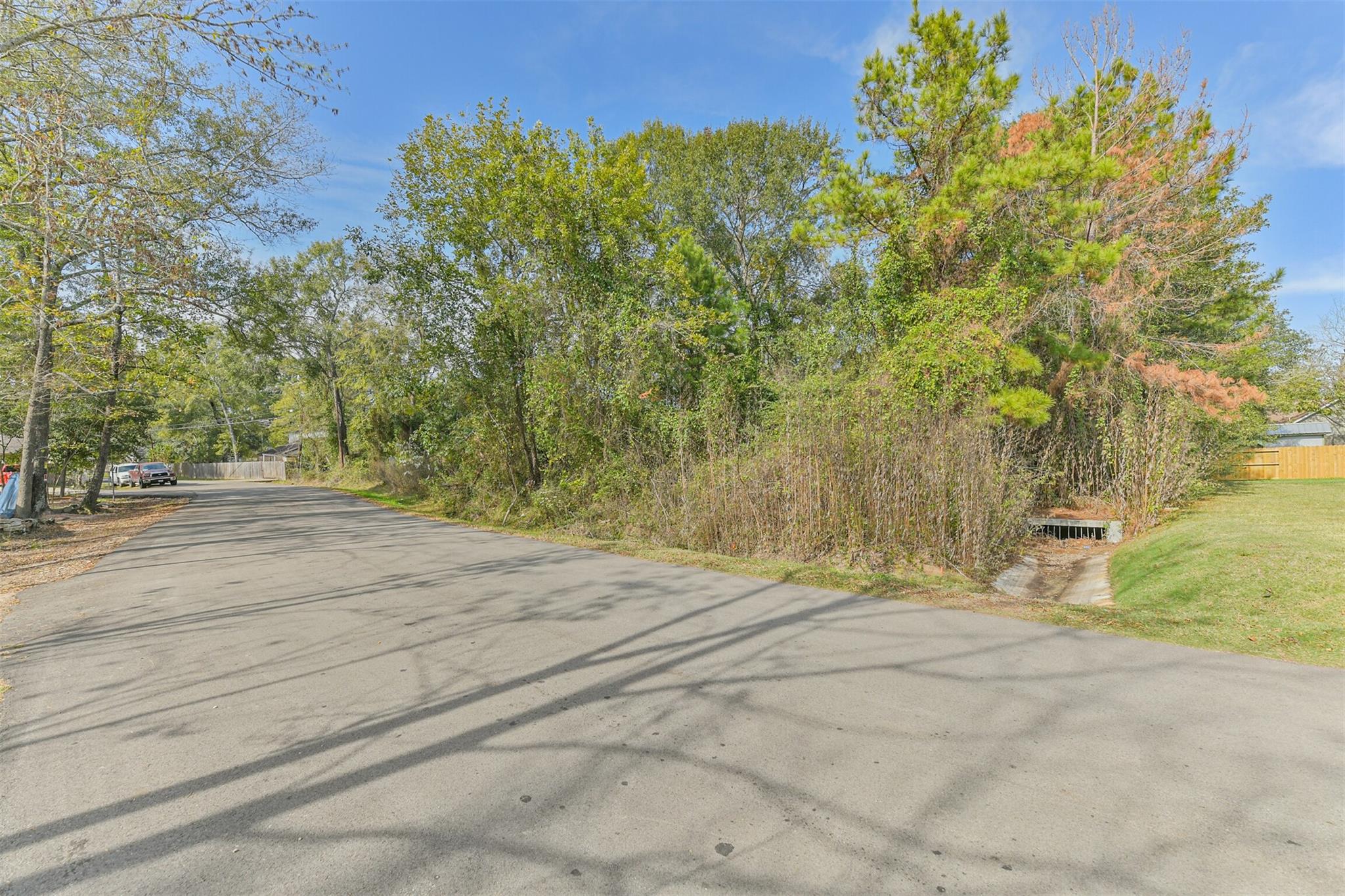 Land in Conroe 3
