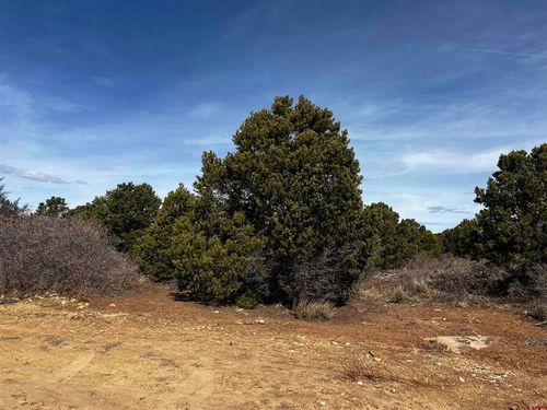 1 Road J.7, Egnar, CO, 81325 | Card Image