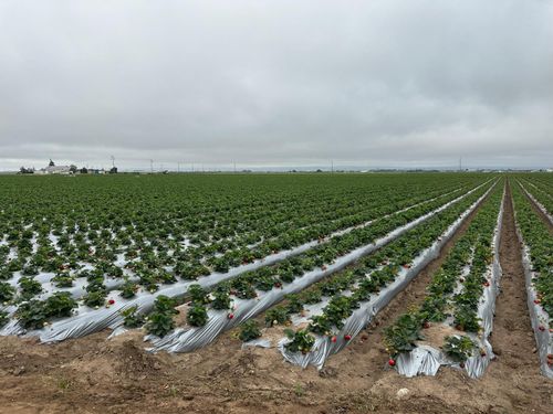 581 San Juan Grade Rd, Salinas, CA, 93906-1100 | Card Image