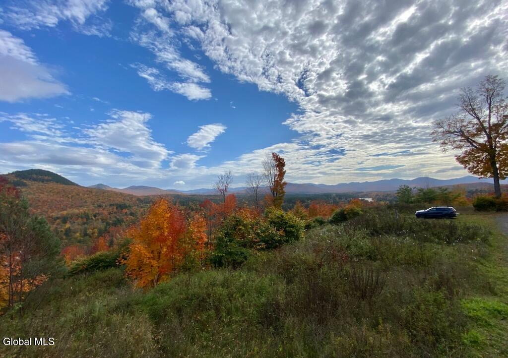 Land in Saranac Lake 4