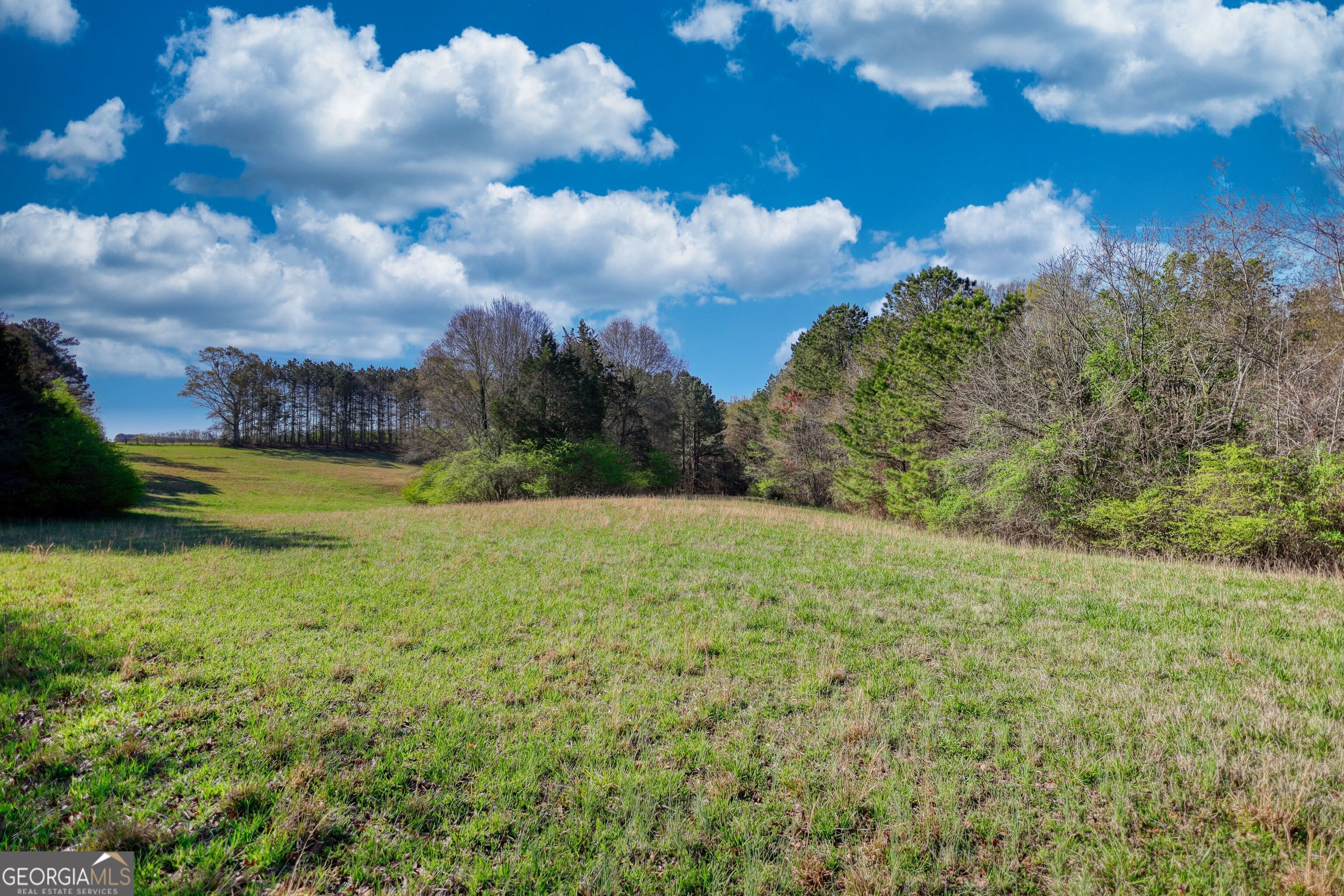 Residential in Dacula