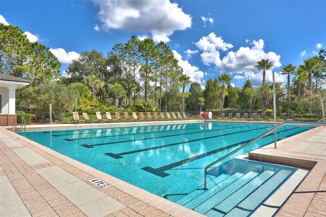 Lap Pool | Image 92
