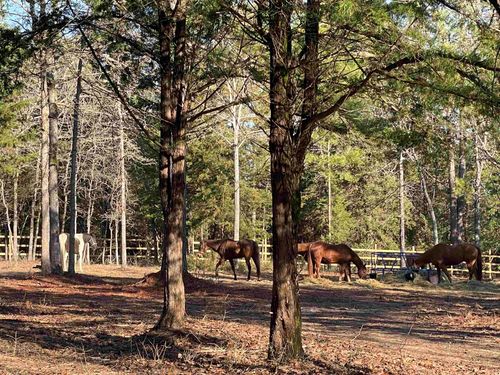 9138 County Road 2138 N, Tatum, TX, 75691-4816 | Card Image