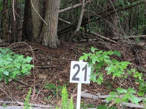 Lot 21 Belle Isle Dr, Union Hall, VA, 24176-4178 | Card Image