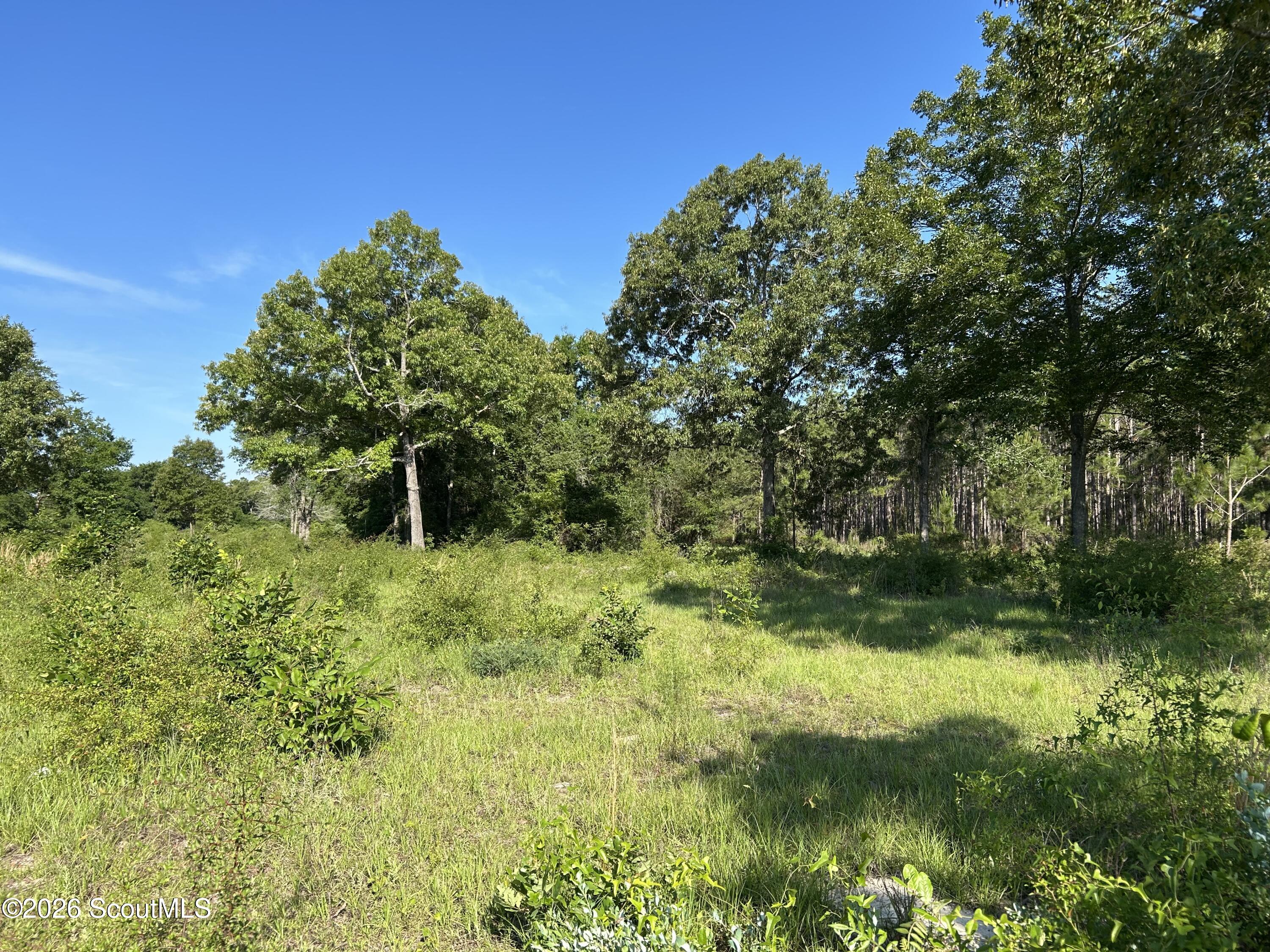 Land in Jesup 5