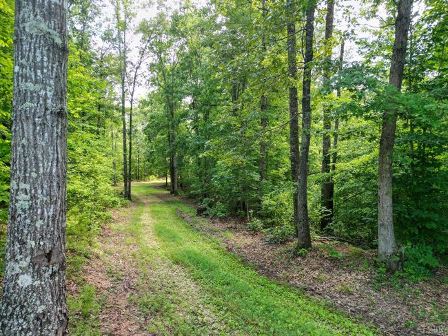 0 Allens Creek Rd, Home with 0 bedrooms, 0 bathrooms and null parking in GLADSTONE VA | Image 15