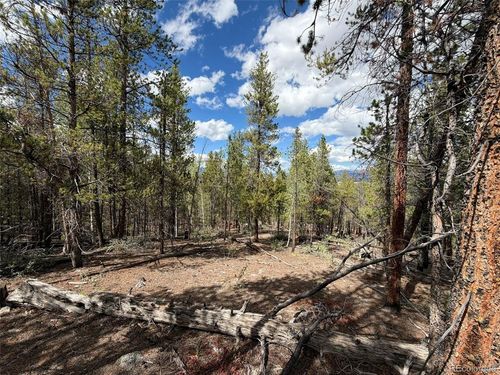 105 Parry Peak Dr, Twin Lakes, CO, 81251-9780 | Card Image